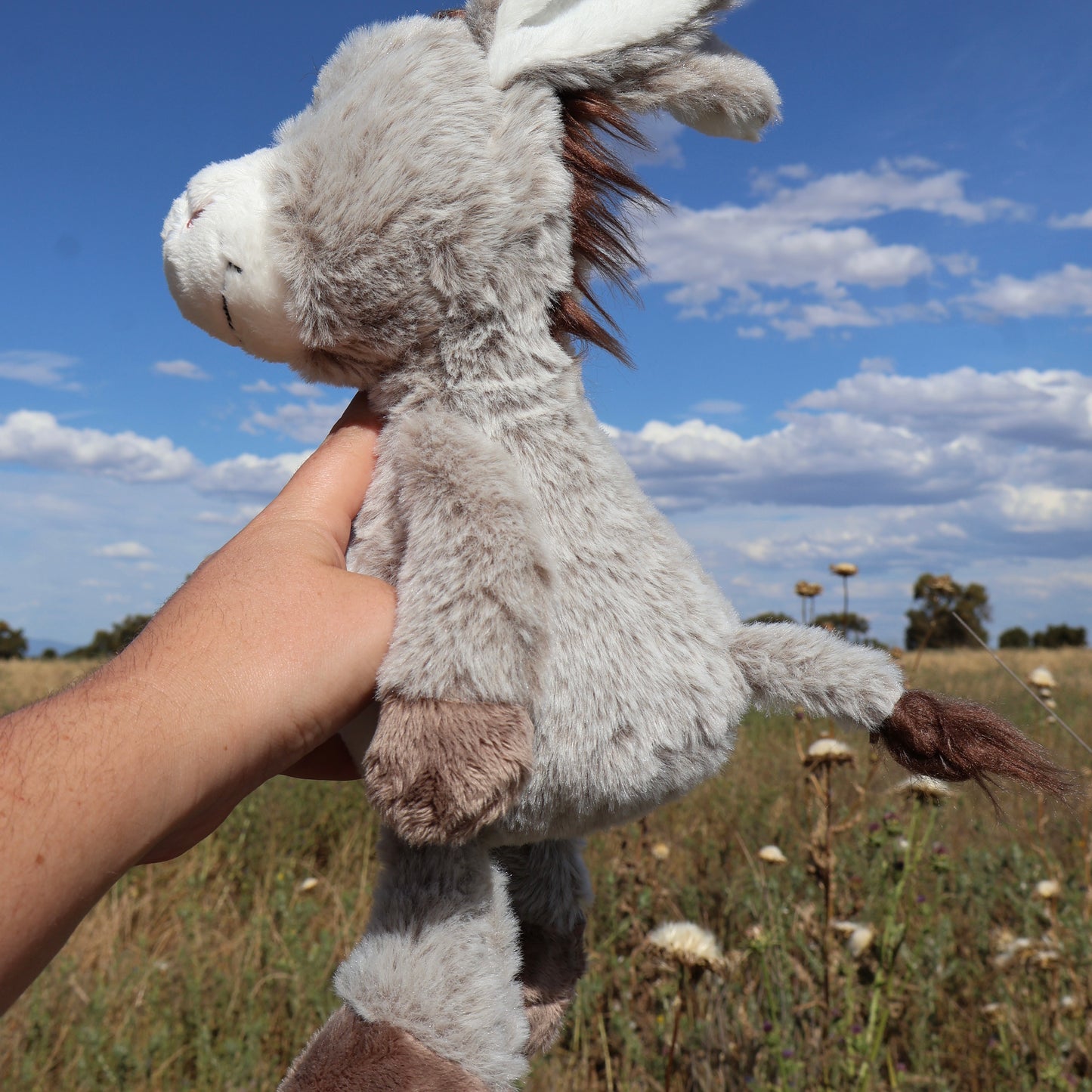 ‘Dinky’ the Donkey Plush